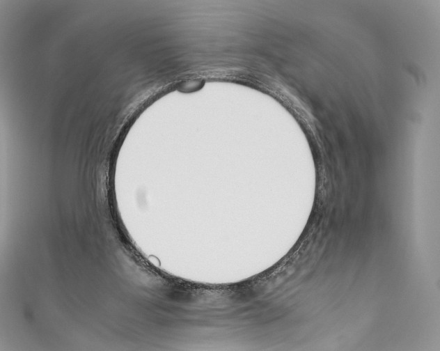 X0000110770107200907271212