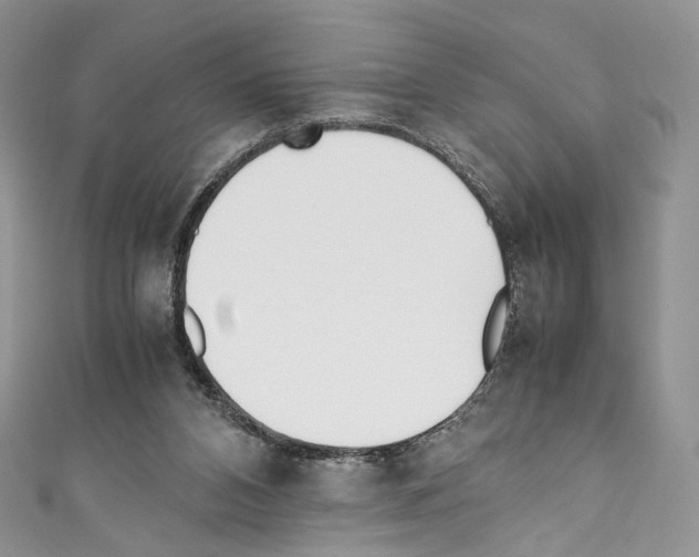 X0000110770112200907271212