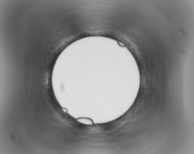 X0000110770115200907271212