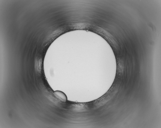 X0000110770118200907271212