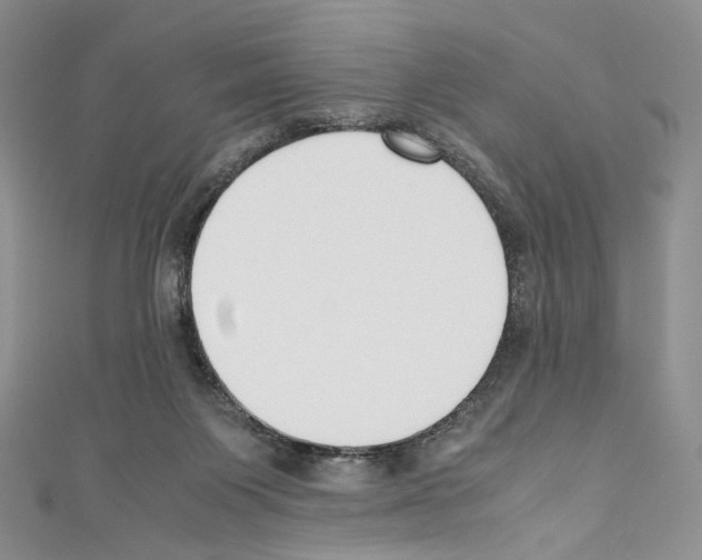 X0000110770119200907271212