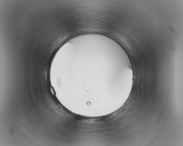 X0000110770120200907271212