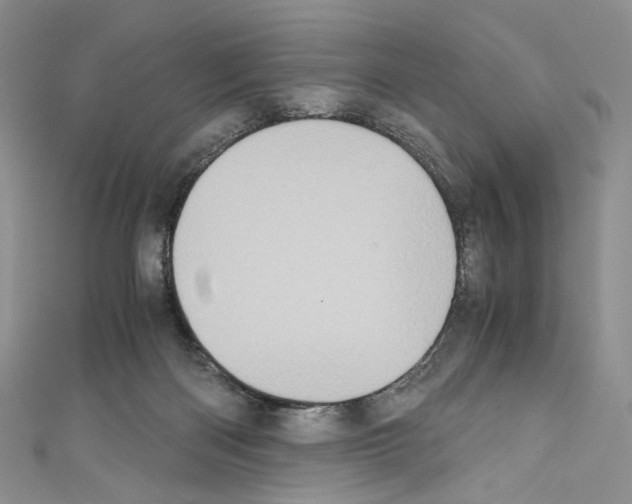 X0000110770122200907271212