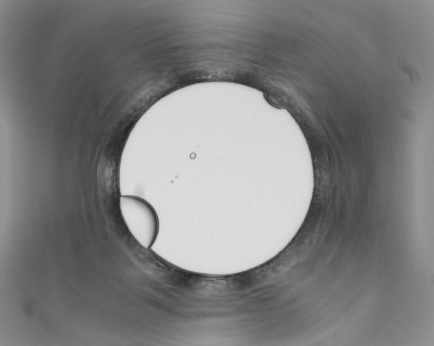 X0000110770123200907271212