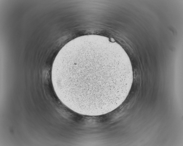 X0000110770127200907271212