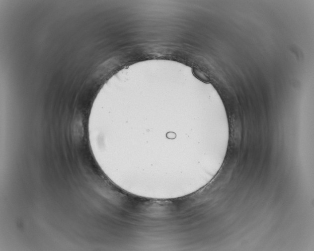 X0000110770128200907271212