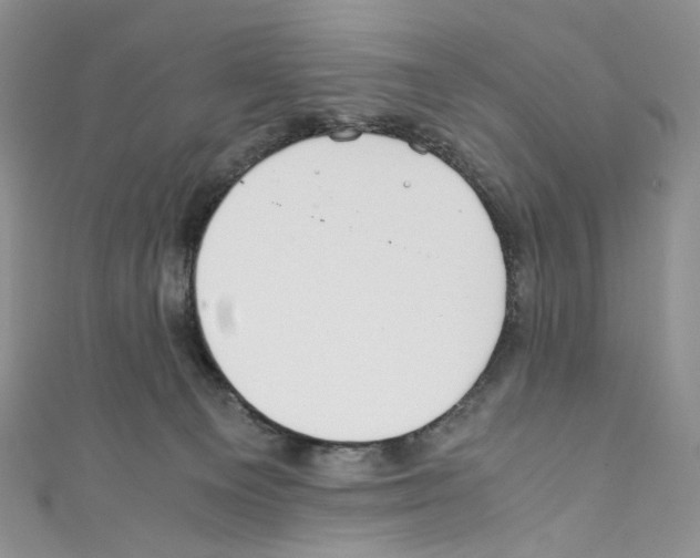 X0000110770129200907271212