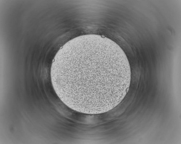 X0000110770130200907271212