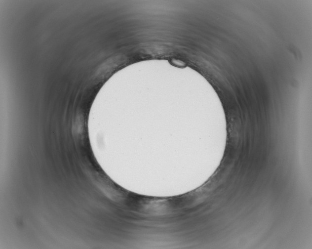 X0000110770132200907271212