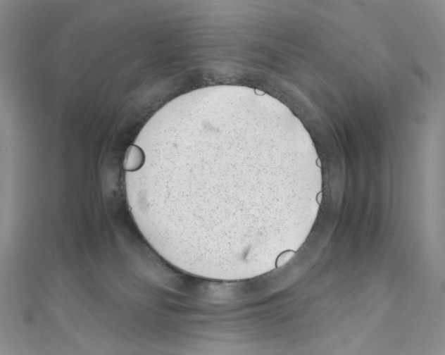 X0000110770134200907271212