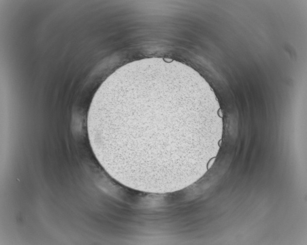 X0000110770138200907271212