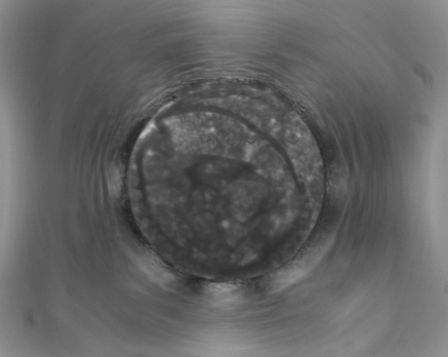 X0000110770139200907271212