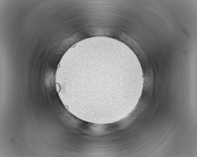 X0000110770142200907271212