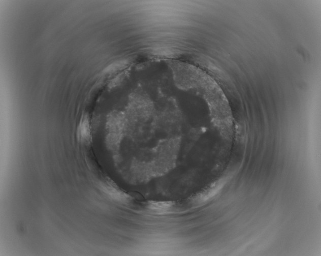 X0000110770143200907271212