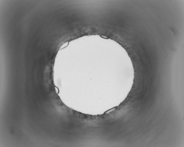 X0000110770144200907271212