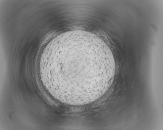 X0000110770145200907271211