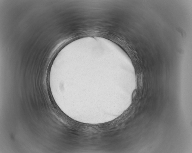 X0000110770147200907271211