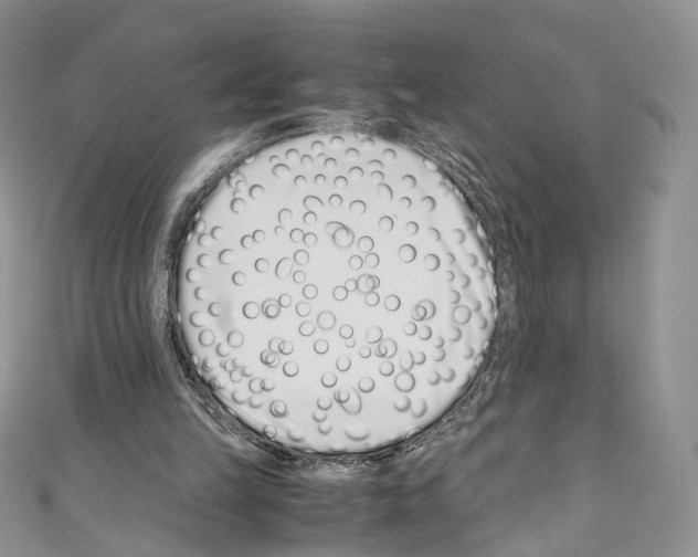 X0000110770149200907271211