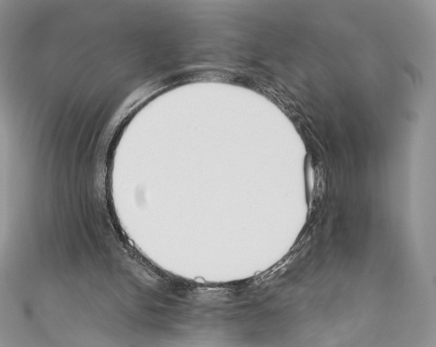 X0000110770150200907271211