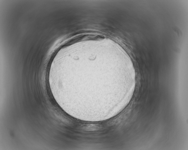 X0000110770151200907271211