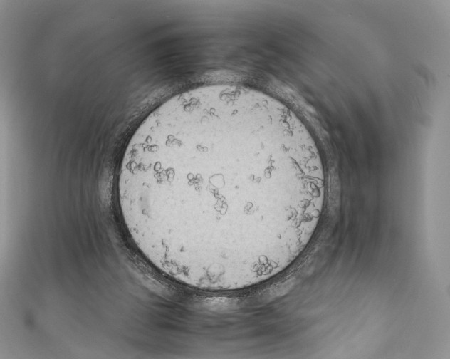 X0000110770153200907271211