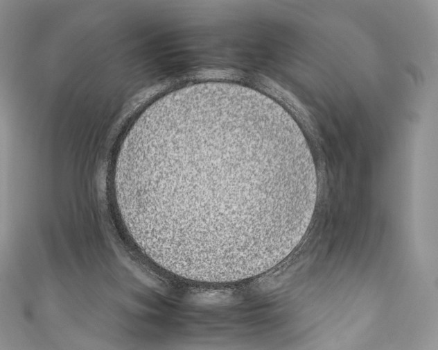 X0000110770155200907271211