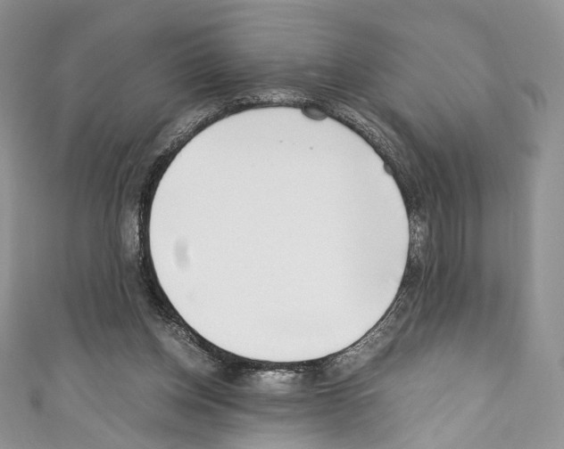 X0000110770158200907271211