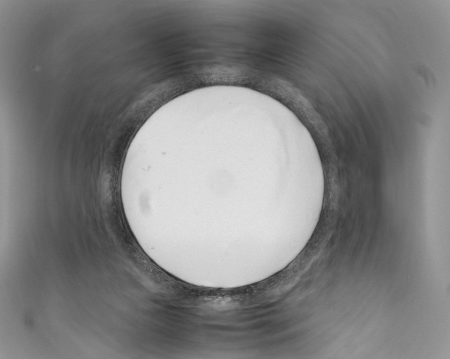 X0000110770161200907271211