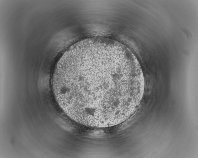 X0000110770162200907271211