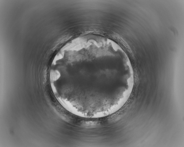 X0000110770163200907271211