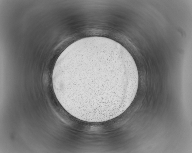 X0000110770165200907271211