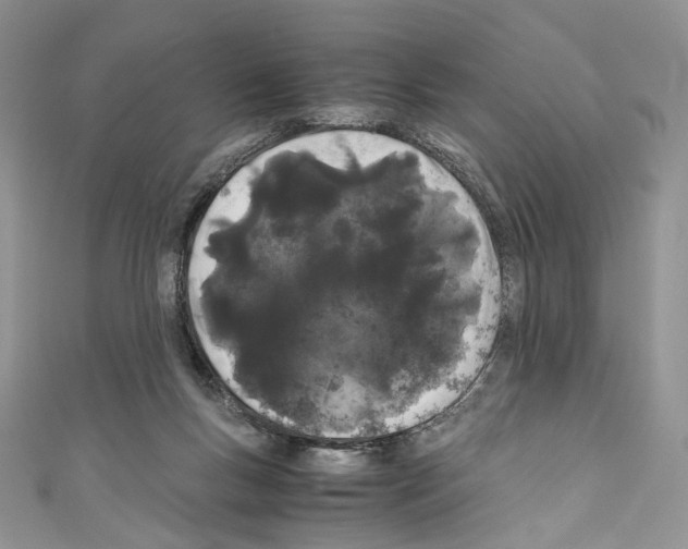 X0000110770167200907271211