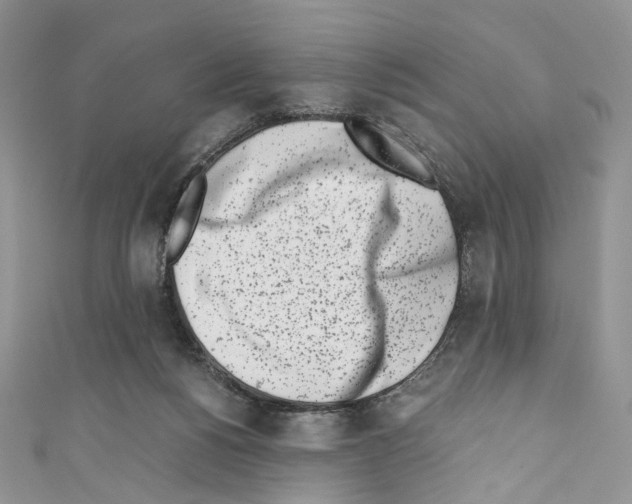 X0000110770168200907271211