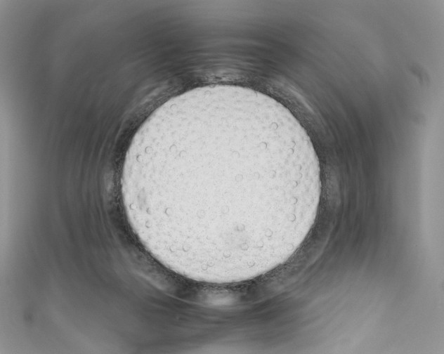 X0000110770169200907271211