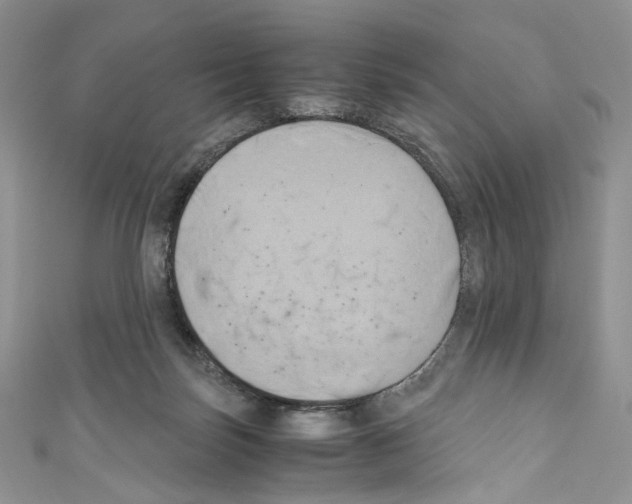 X0000110770171200907271212