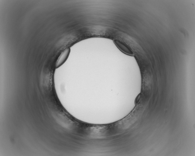 X0000110770172200907271212