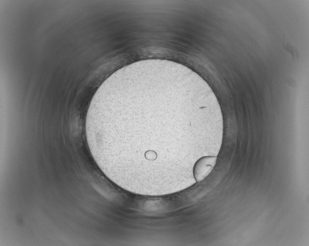 X0000110770173200907271212