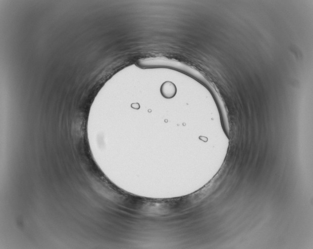 X0000110770174200907271212