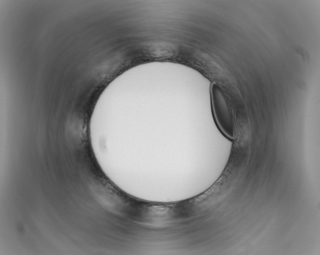 X0000110770176200907271212