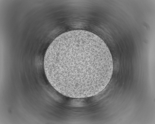 X0000110770179200907271212