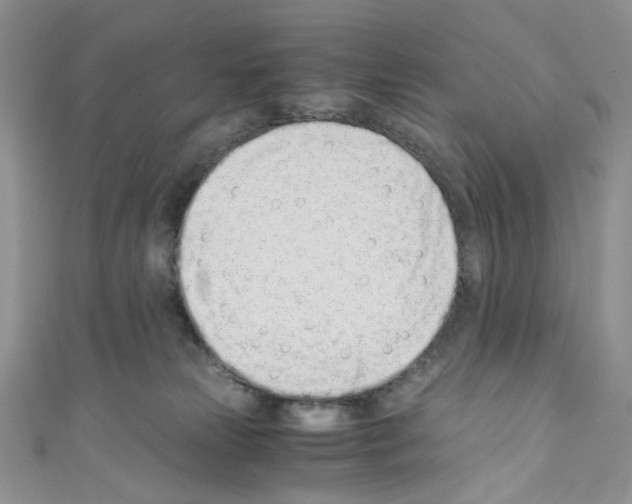 X0000110770181200907271212