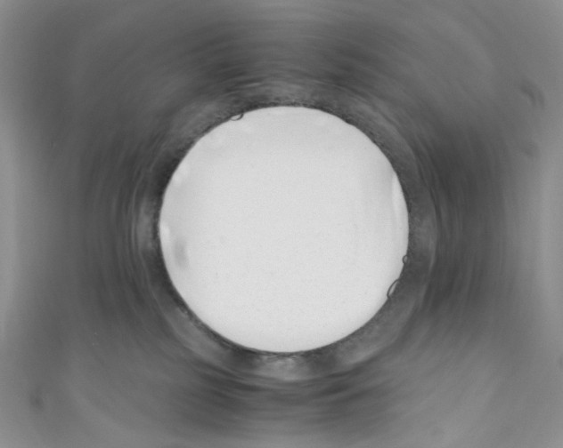 X0000110770185200907271212