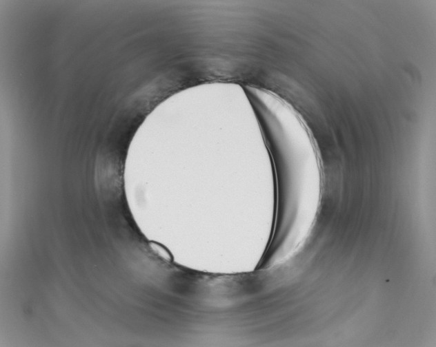 X0000110770186200907271212