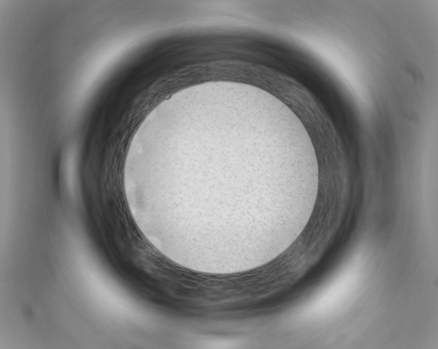 X0000110770189200907271212