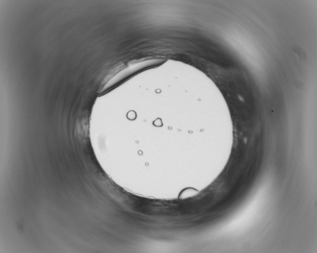 X0000110770190200907271212