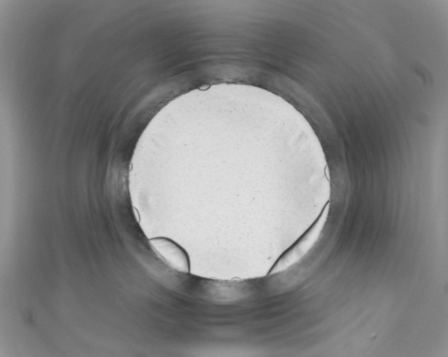 X0000110770191200907271212