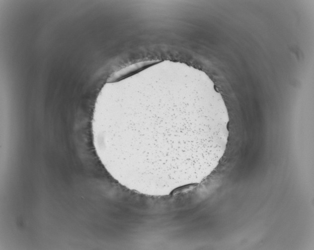 X0000110770192200907271212