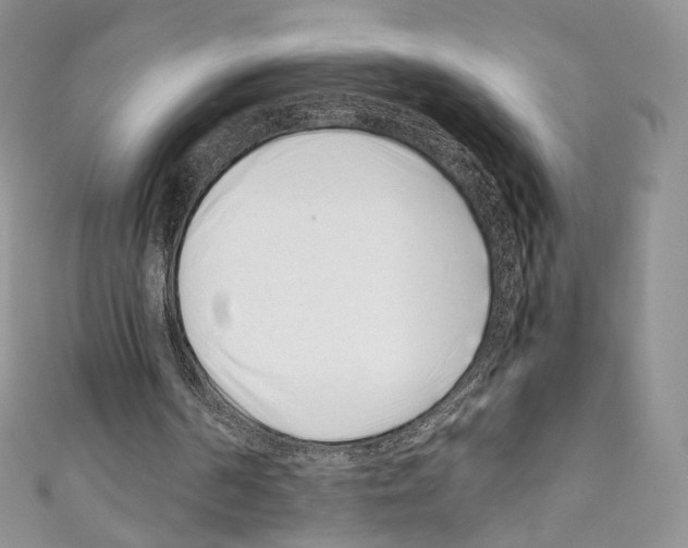 X0000110770194200907271211