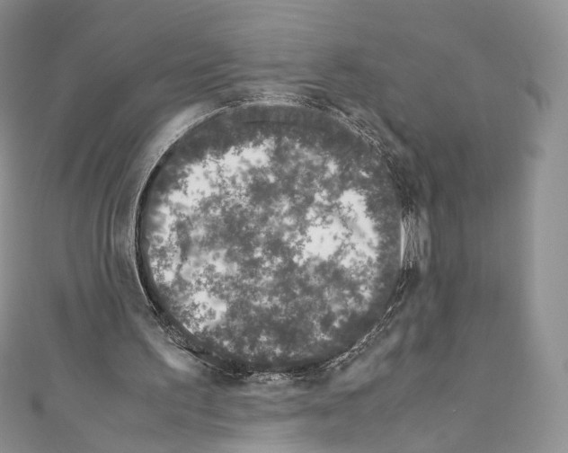 X0000110770195200907271211