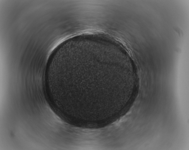 X0000110770196200907271211